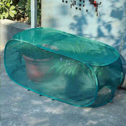 ""
