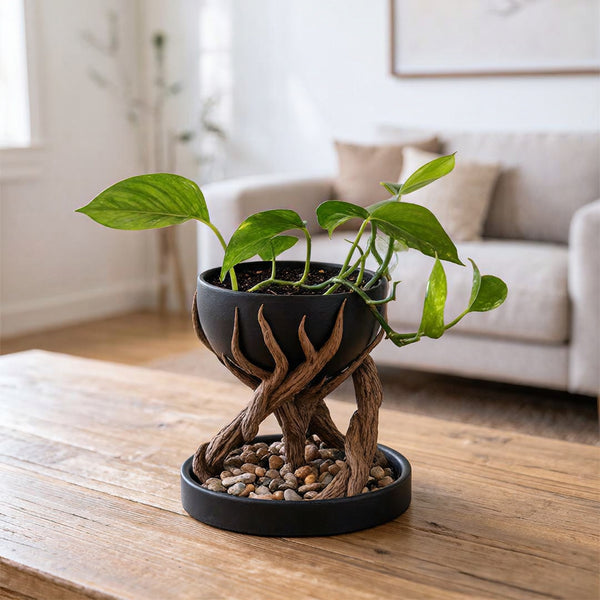 Leafbase – Blumentopf mit gedrehtem Sockel und Ablaufschale