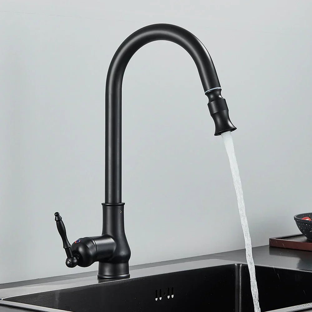 SMARTSPOUT - Küchenarmatur mit Ausziehfunktion in Antikbronze für stilvolle und flexible Küchenarbeit