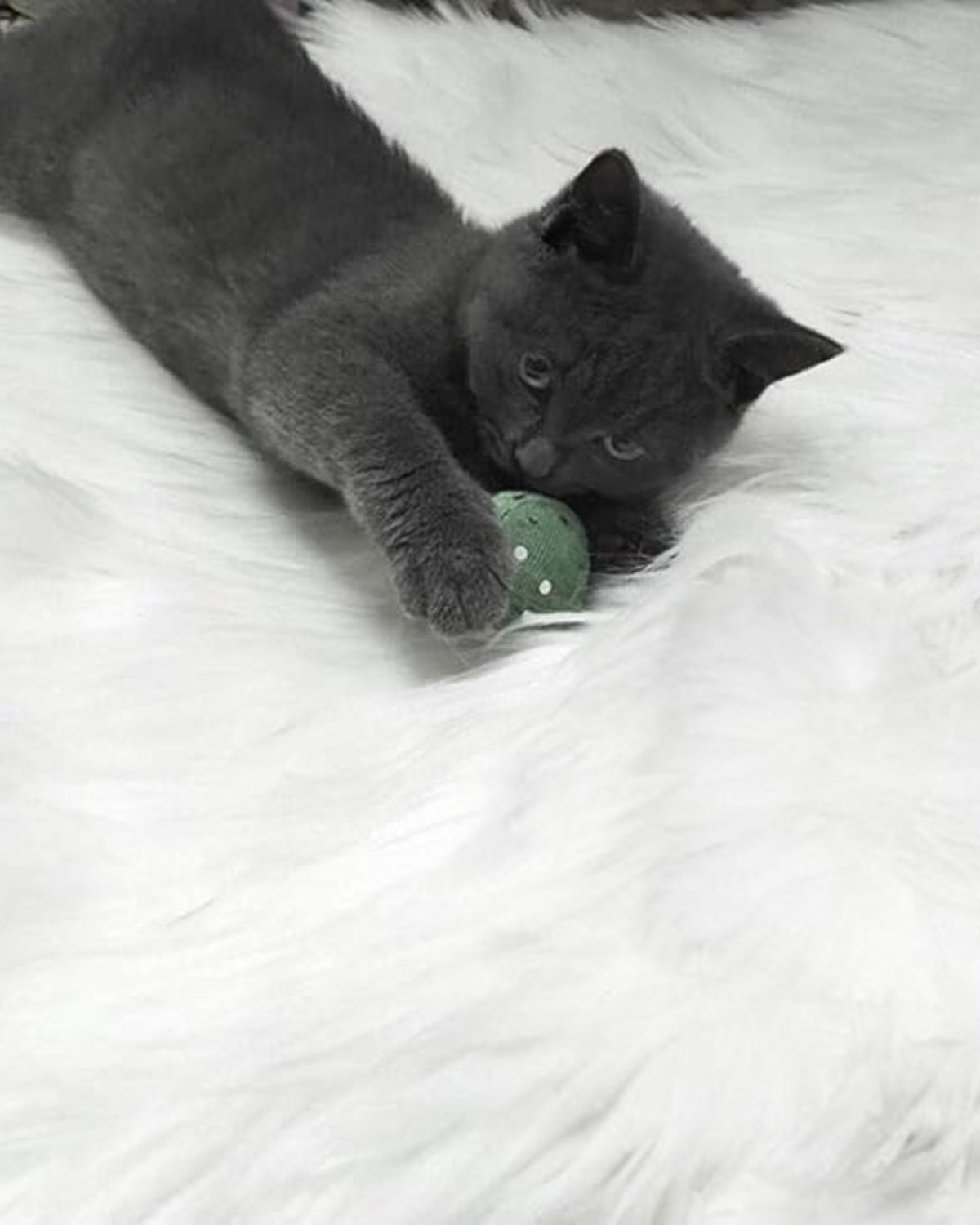 Le Luxe Furré - Gemütlichkeit für Ihr Zuhause