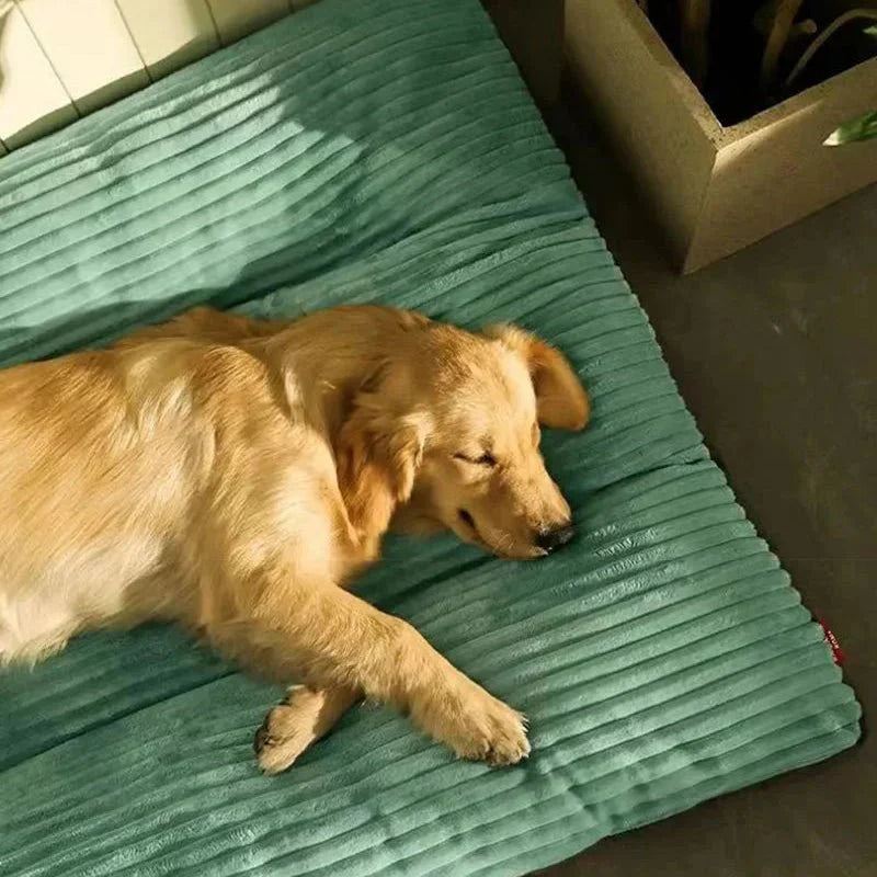 FLAUSCHNEST – Kuscheliger Komfort für Hunde