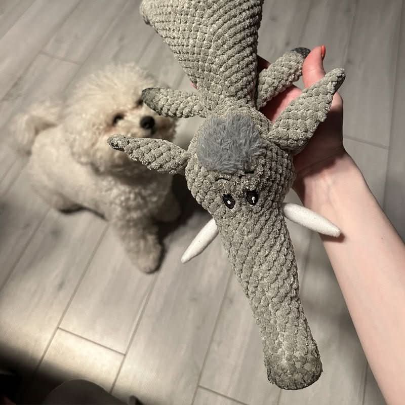HARDPAW TOY – Strapazierfähiges Kauspielzeug für kleine & große Hunde