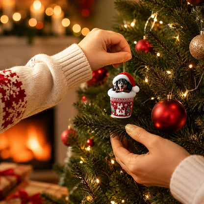 Doxivanta – Adventskalender mit 24 Dackelmotiven hinter Türchen