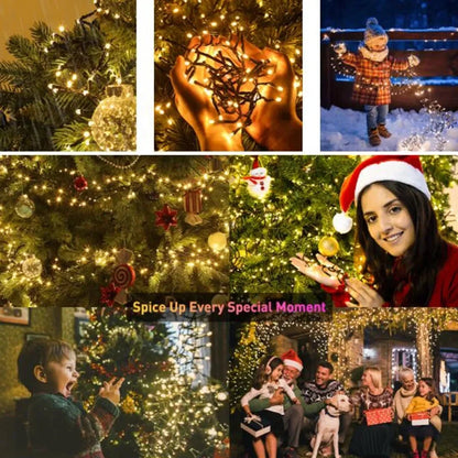 Festilux – LED-Weihnachtslichterkette mit EU-Stecker für dekorative Beleuchtung